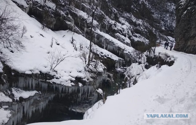 Узкоколейные железные дороги