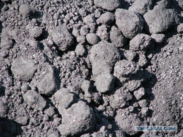 Это "КОКОС", детка!