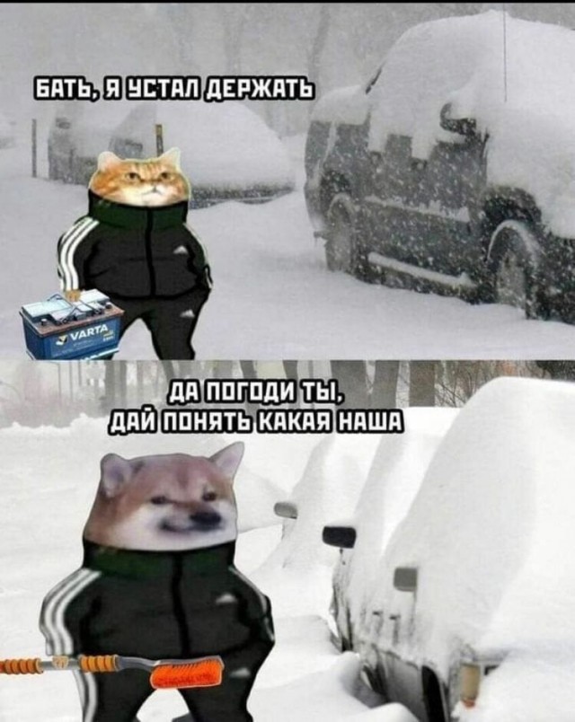 Ситуации из жизни