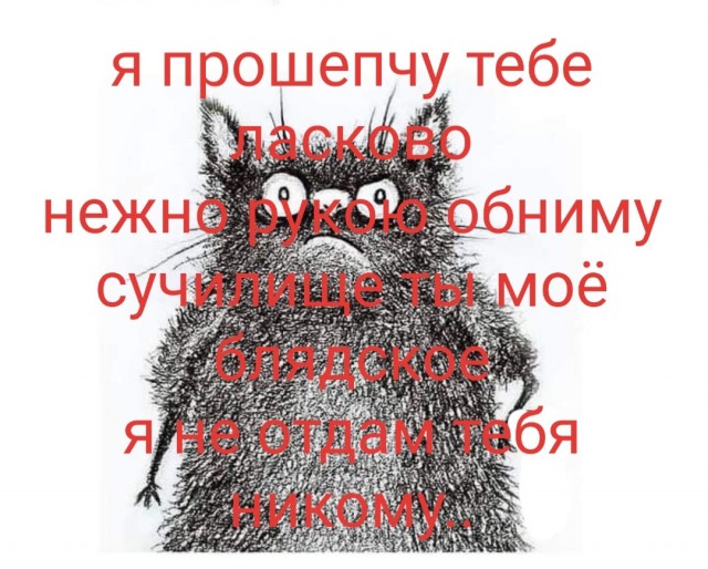 Бредзона 06.02.21