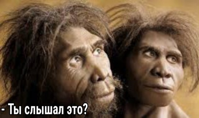 Дополнительный «налог на зарплаты» могут ввести в России.