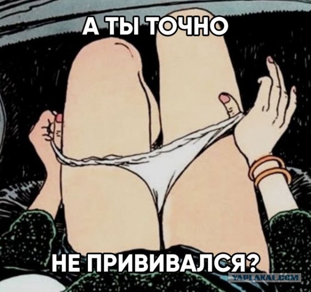 Весёлый полтишок 14.07