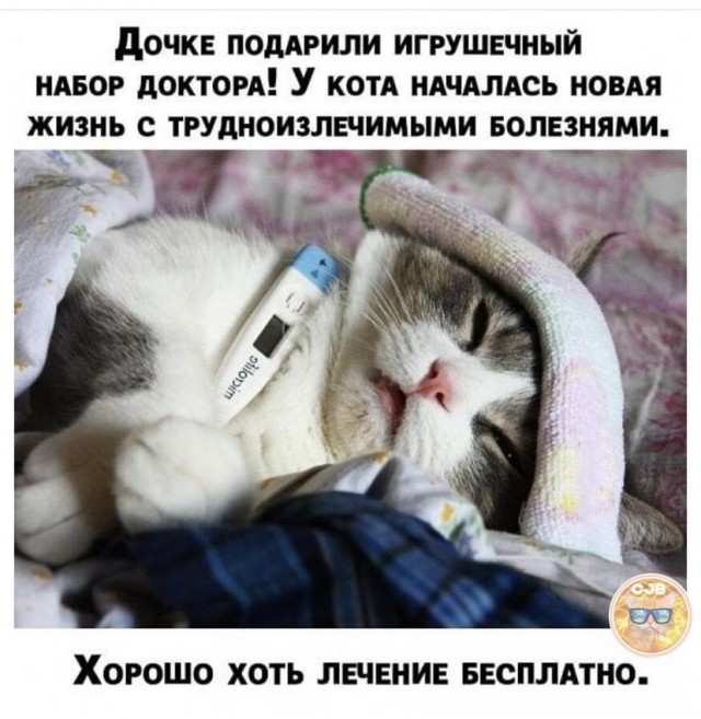 Картинки на сегодня 16.07.2021