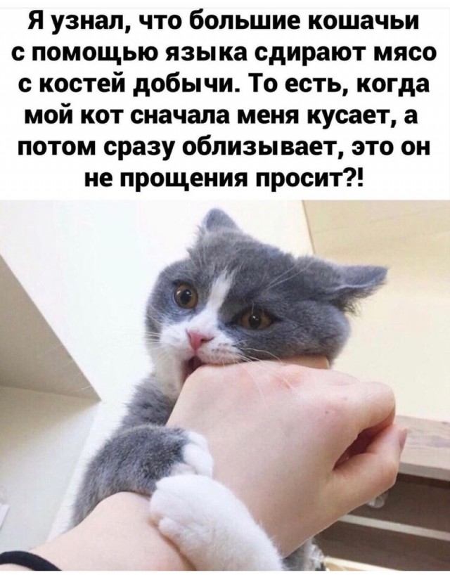 Картинки и мемы для настроения 23.08.2021