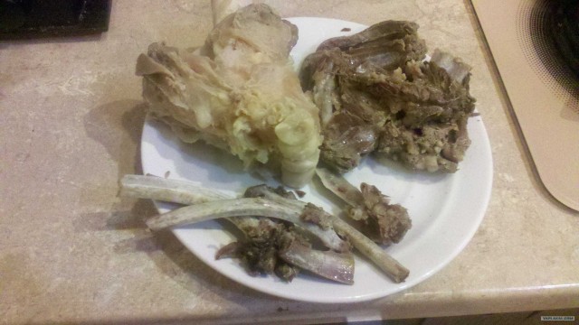 International одной книги., В память о Дженибеке.