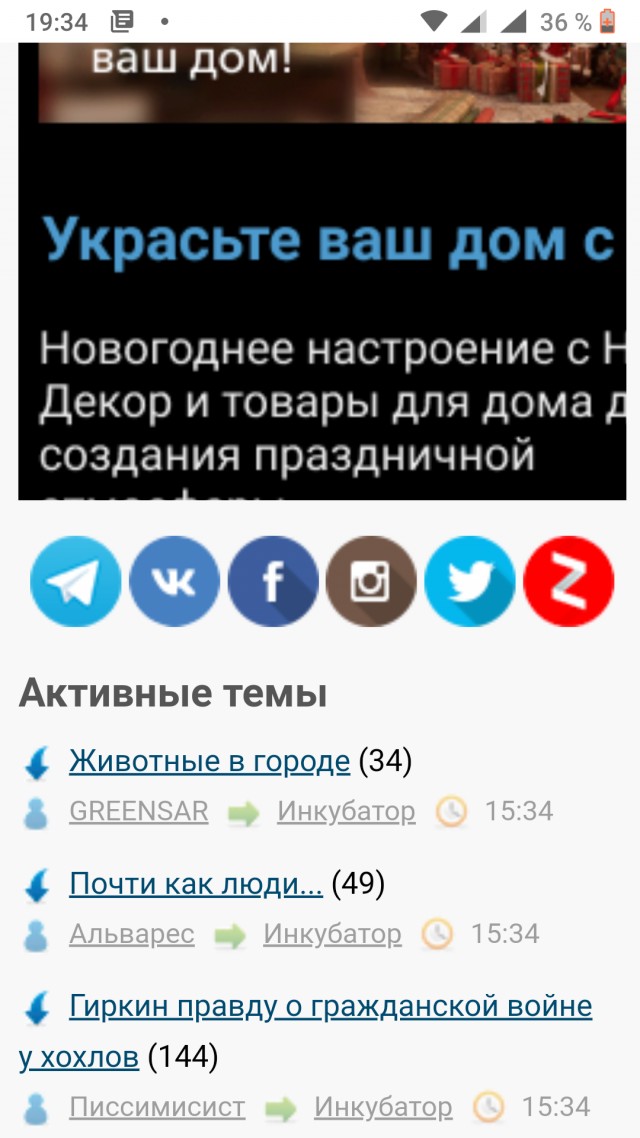 Животные в городе