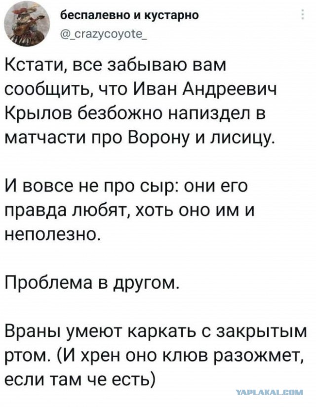 Разные картинки для настроения на любой вкус - 9