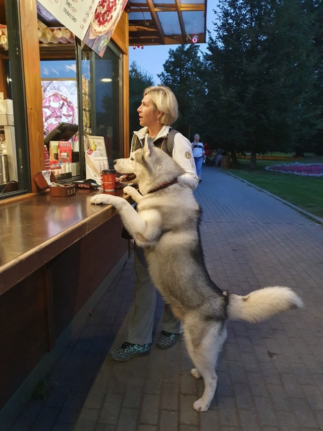 Картинки и мемы, всем прекрасных выходных