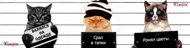 Новости, которые мы заслужили