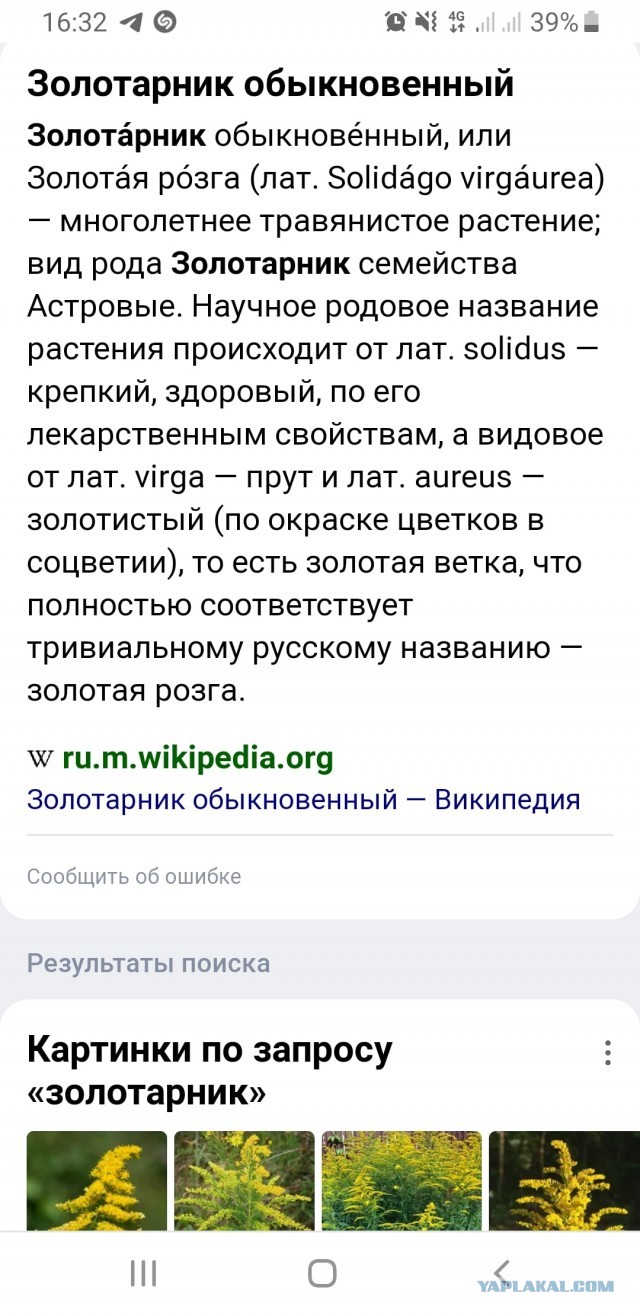 Увы, девки, природа, мы не при делах