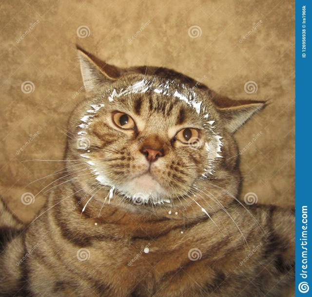 Большая разница в возрасте: хочу развестись, чтобы не содержать мужа на пенсии