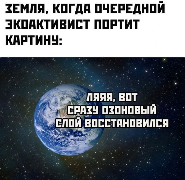 Весёлый полтишок 18.11.22