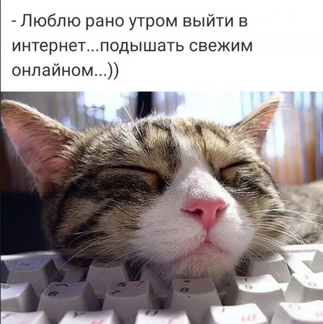 Победная поступь идиотизма по планете – том 11