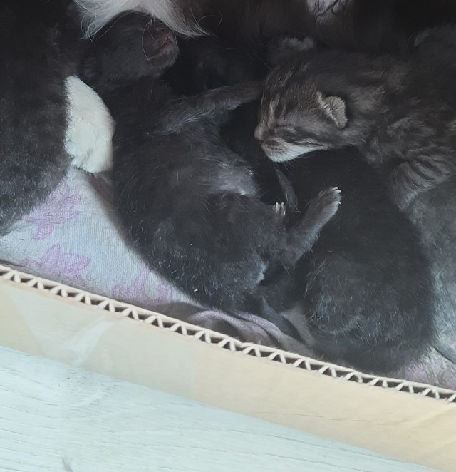 Прикольные малыши