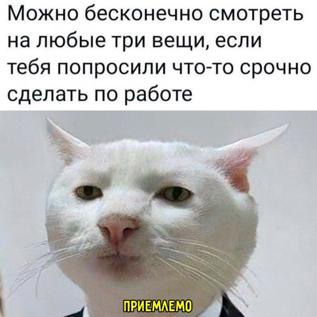 Картинки и мемы, всяко разно - 185
