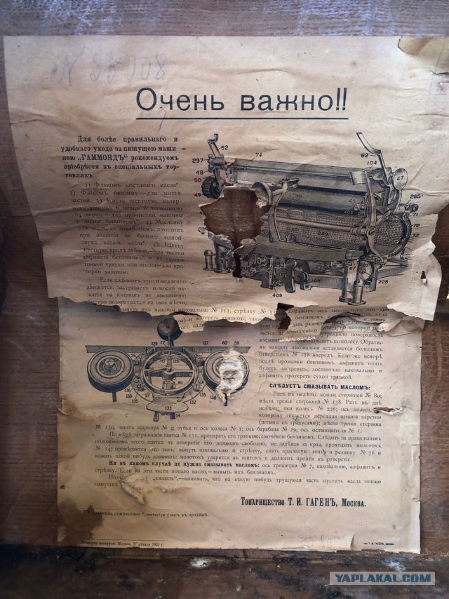 Новые находки. Июнь 2023