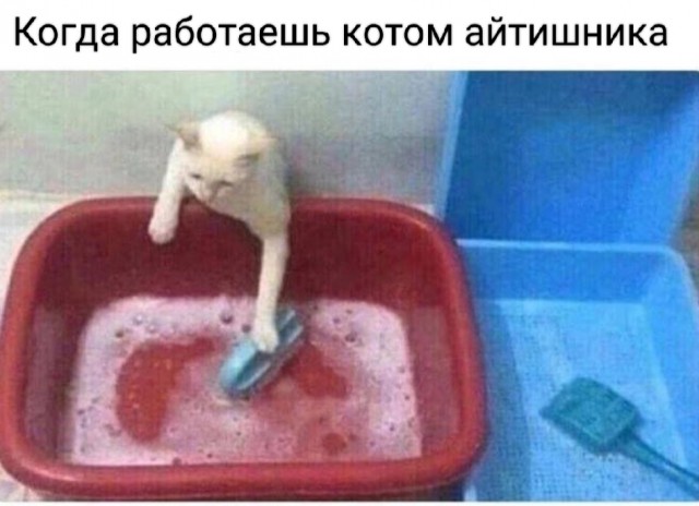 История одного знакомства