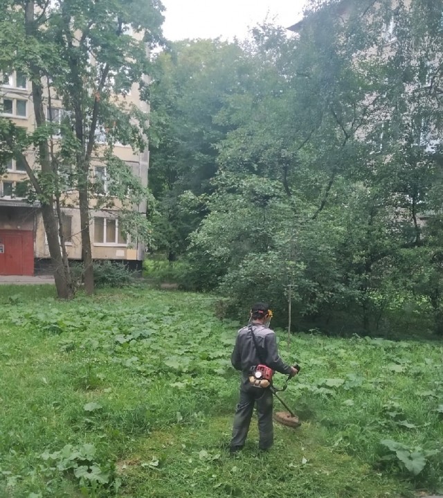 Для тех, кто считает коронавирус выдумкой