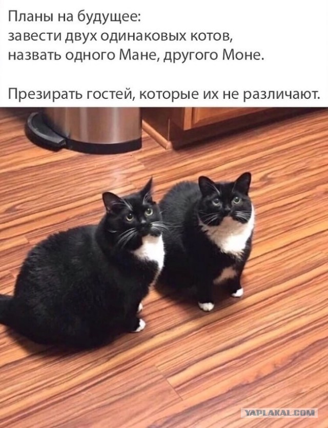 Получаются ли из проституток хорошие жены?