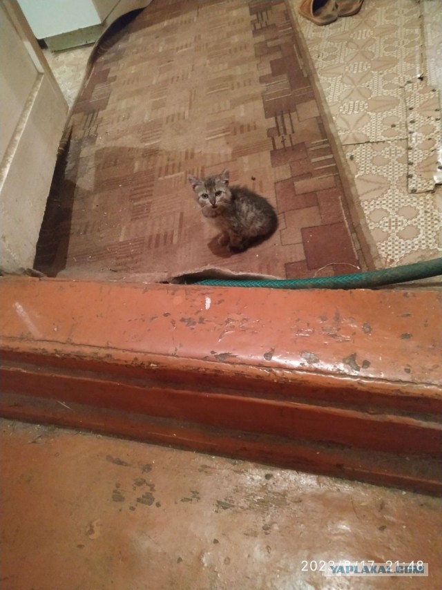 Месяц, как с нами