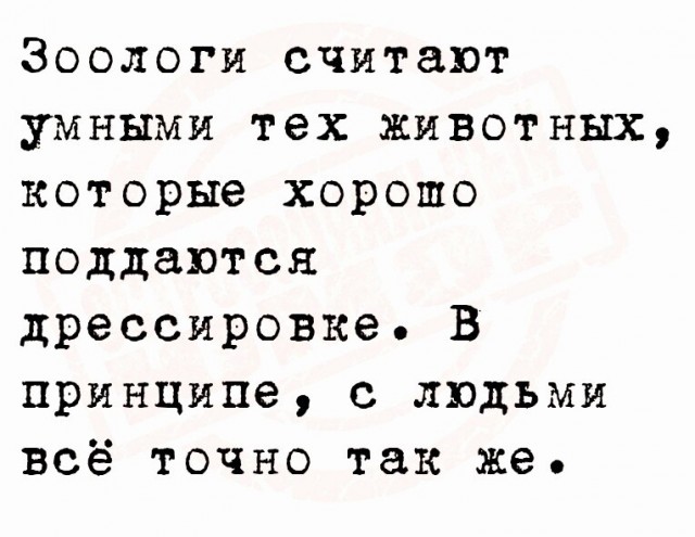 Друзья, послушайте мою новую песню
