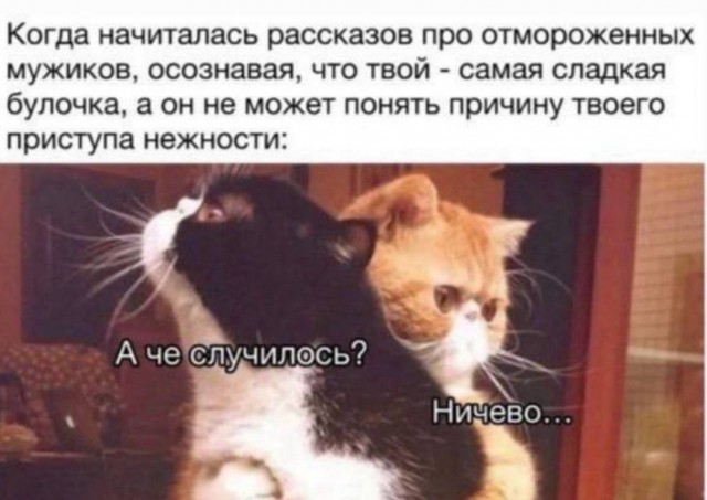 Всего понемногу. От 29.06.2024