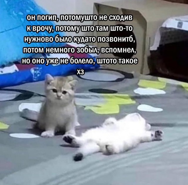 Отряд быстрого деградирования