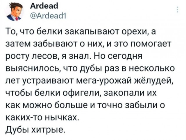 Так себе картинки 24.07.24