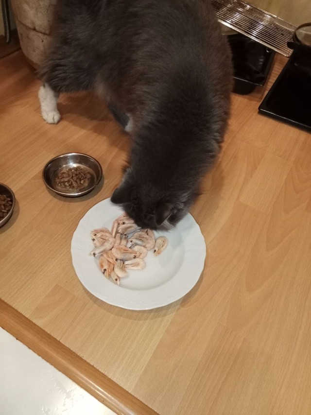 Третий круг