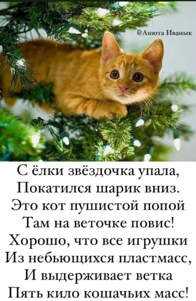 Прикольные и просто красивые картинки 07.01.2025