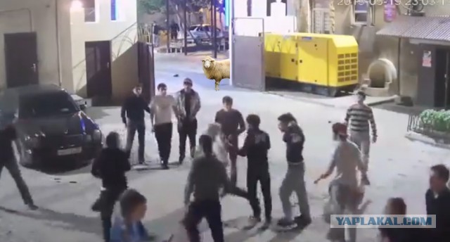 Махач в Махачкале.