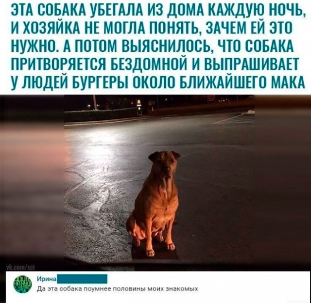 Веселые картинки в пятницу 25.02