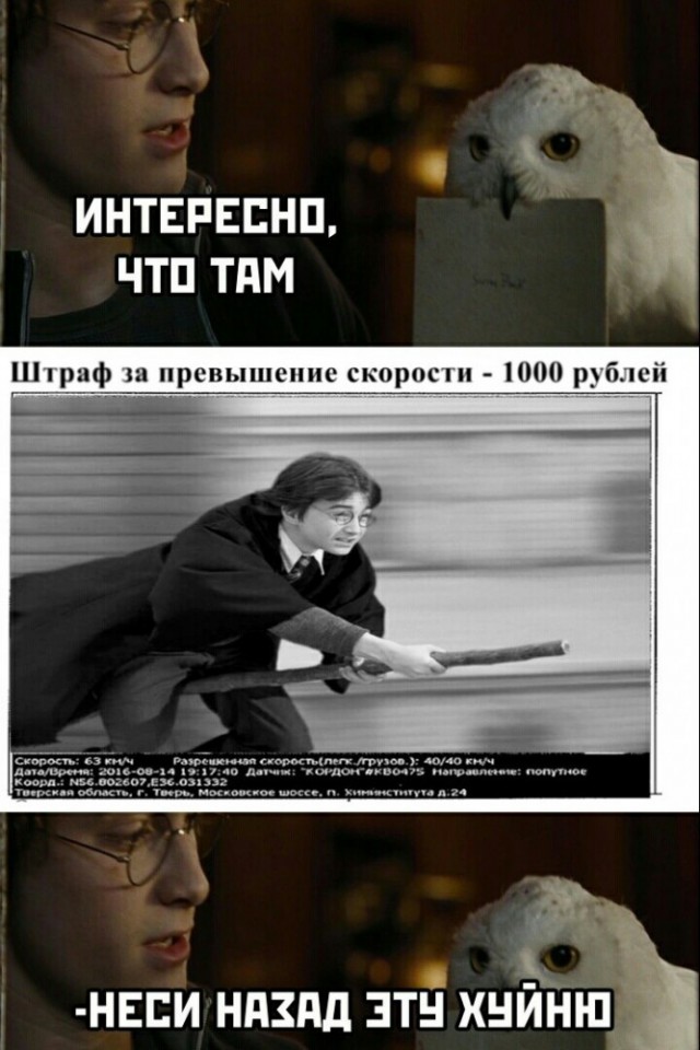 Веселые картинки в среду, практически пятницу 30.04