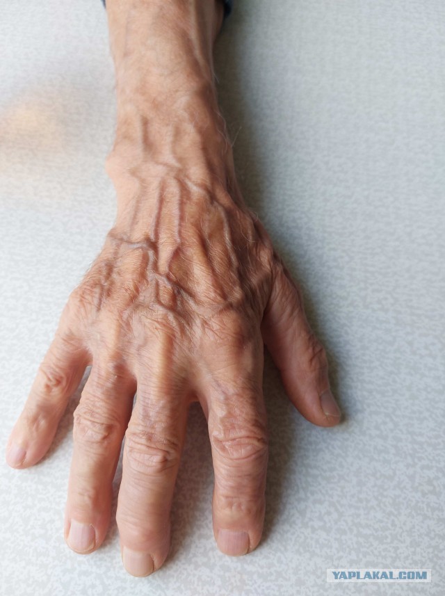 Как выглядит Чак Норрис в 85 лет в 2025 году
