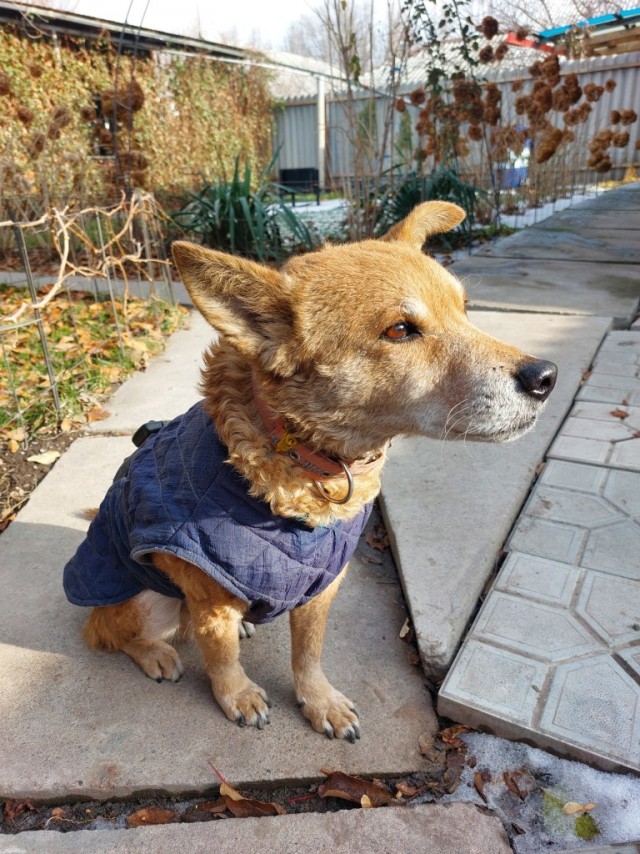 Тюбик