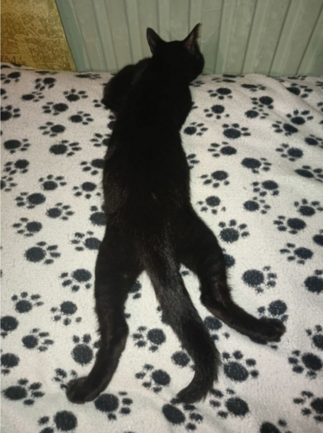 Его первый вторник