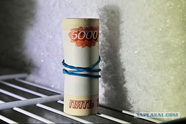 "Чего вы тут платите копейки?" Глава поселка Кузьмолово объяснил, почему его зарплата - 645 тысяч