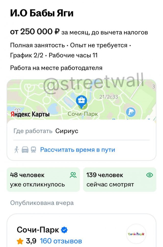 В Сочи ищут Бабу-ягу с зарплатой 250 тысяч рублей в месяц