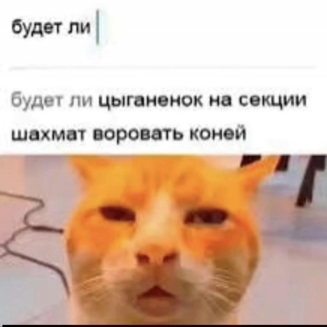 К котовторнику: подборка картинок-баянов с котиками и про котиков. Выпуск 27.
