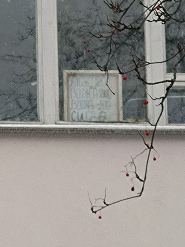 Я нашел круглосуточный алкомаркет???