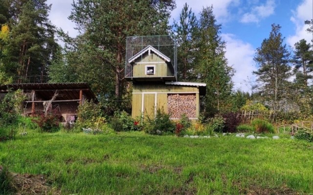 Фотографии из прошлого нашей страны – 135