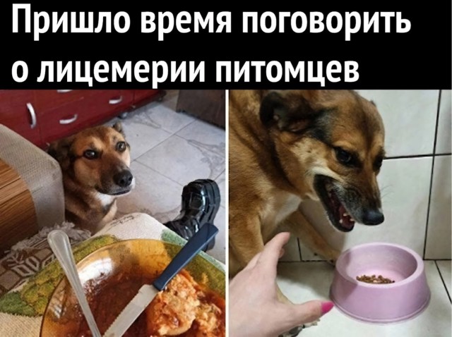 Прикольные и просто красивые картинки 27.02.2026