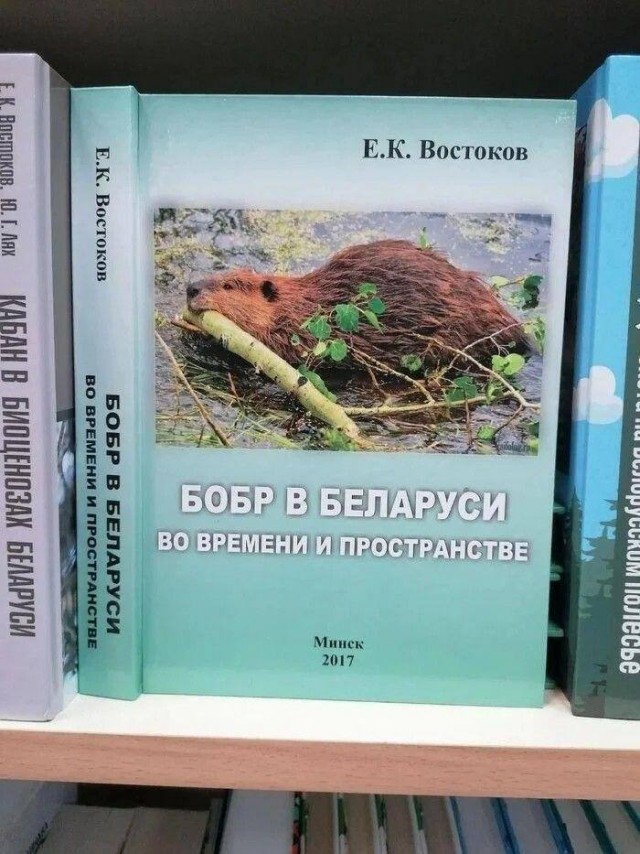 Нуштош. Познание как то, чего следует остерегаться во избежание нервного срыва (s5e6)