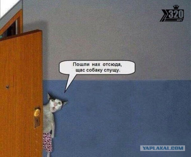 Опять Роскосмос