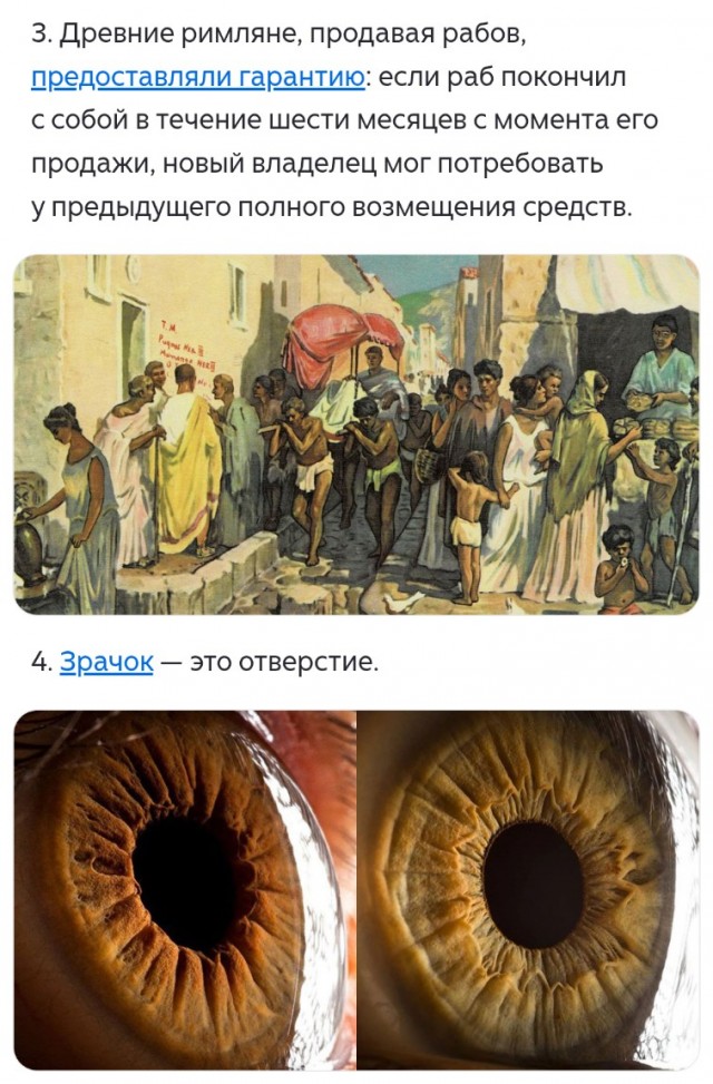 Познавательные картинки 4