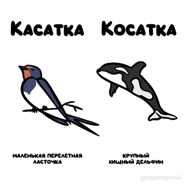 Неведома зверушка