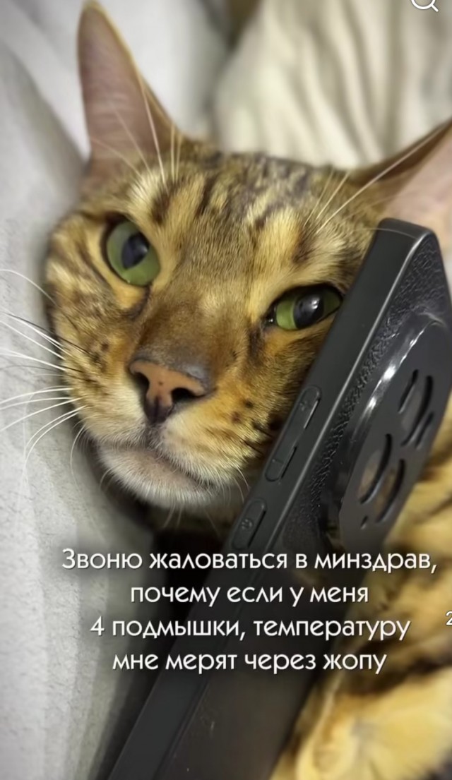 Если жизнь дала тебе лимон — сделай лимонад. Если жизнь дала тебе помидор — не пытайся сделать лимонад