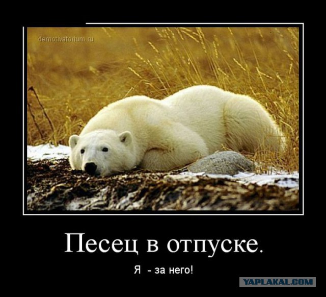 С миру по нитке. Демотиваторов чуть