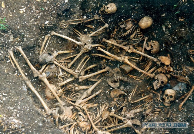 Под Шахтерском лежит тысяча трупов карателей