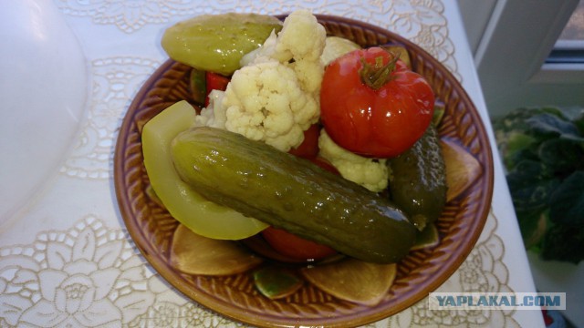 пивная фря